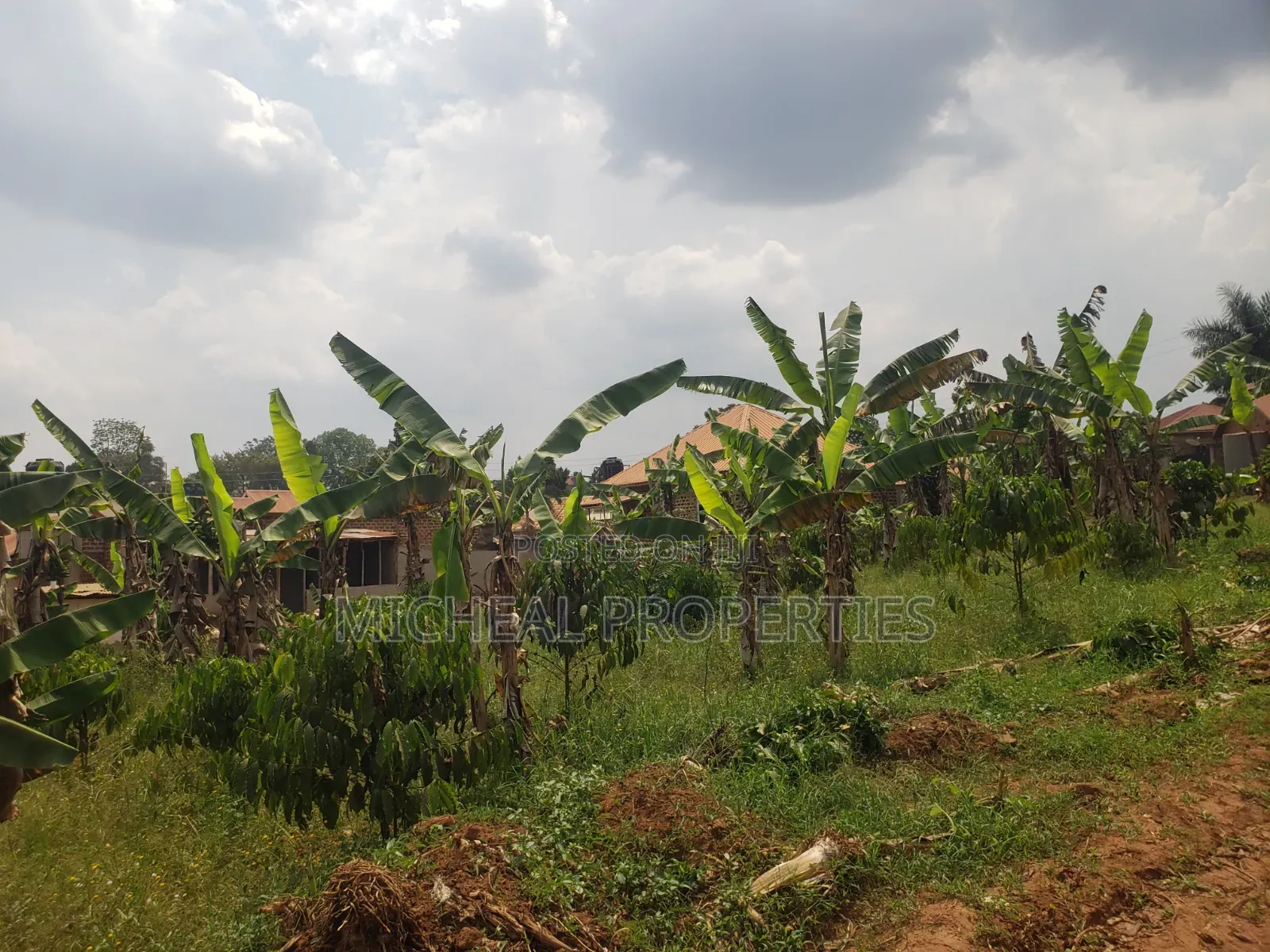 Plot for Sell Mpelerwe Kitagobwa in Kawempe
