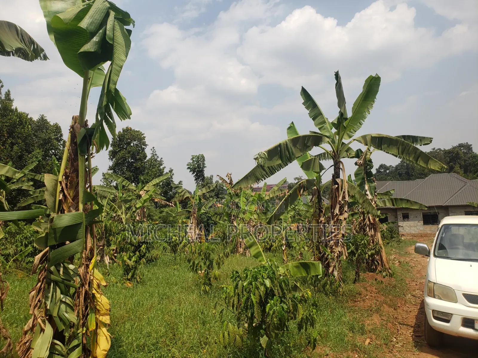 Plot for Sell Mpelerwe Kitagobwa in Kawempe