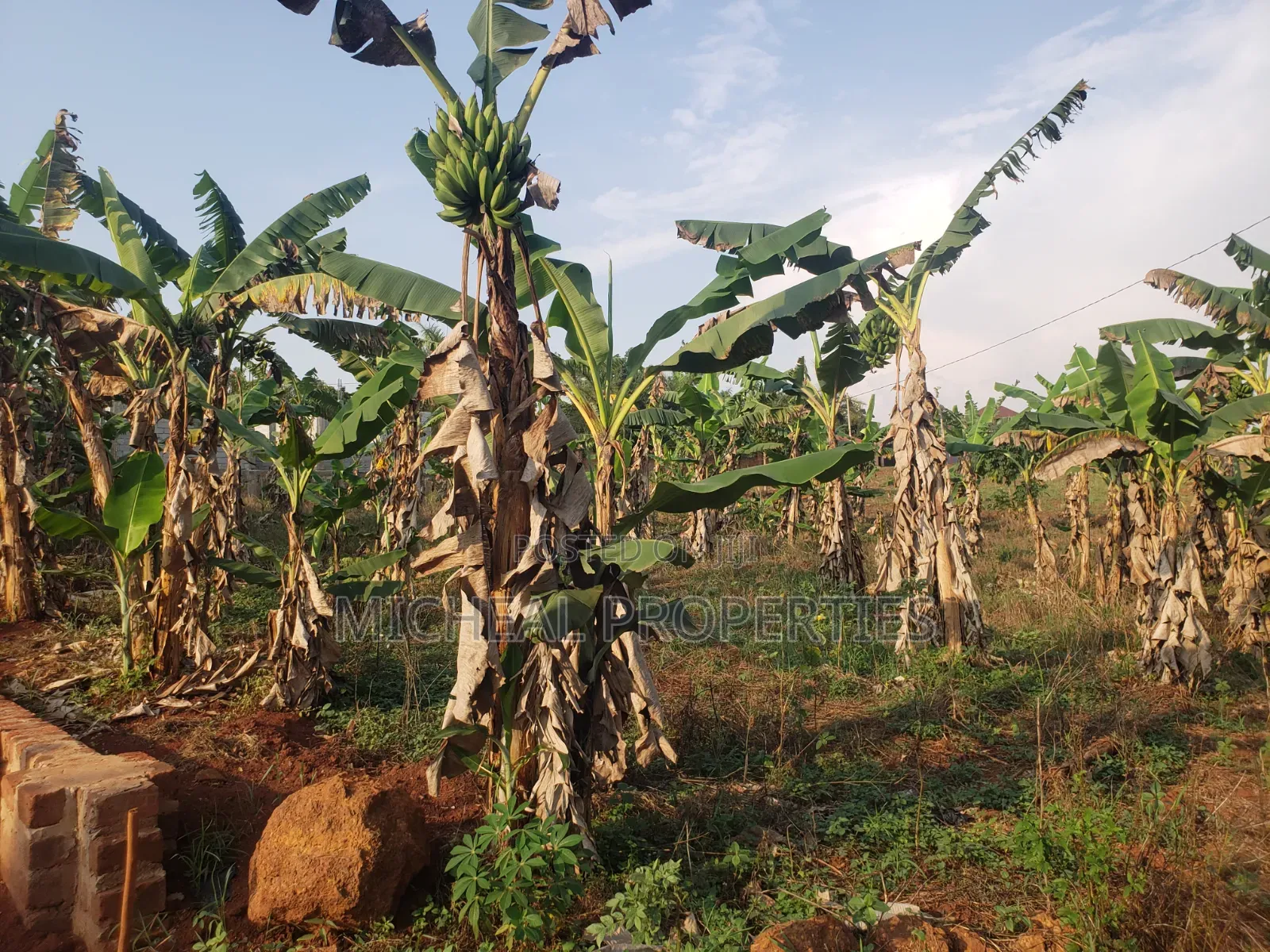 Plot for Sell Gayaza Nakasajja in Kawempe