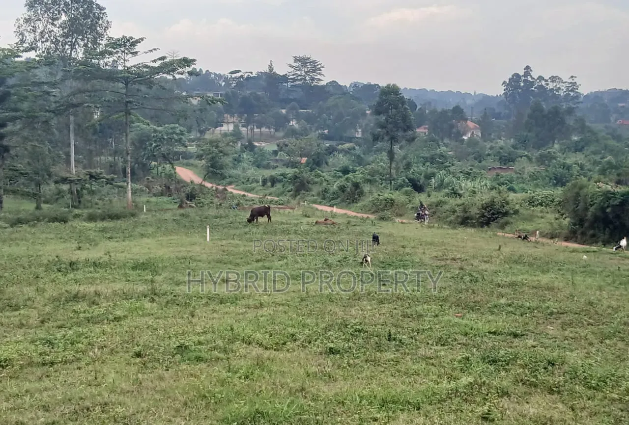 Prime Plots for Sale at Namusera~Wakiso Tarmac View Divine Land Estate in Wakiso / Wakiso