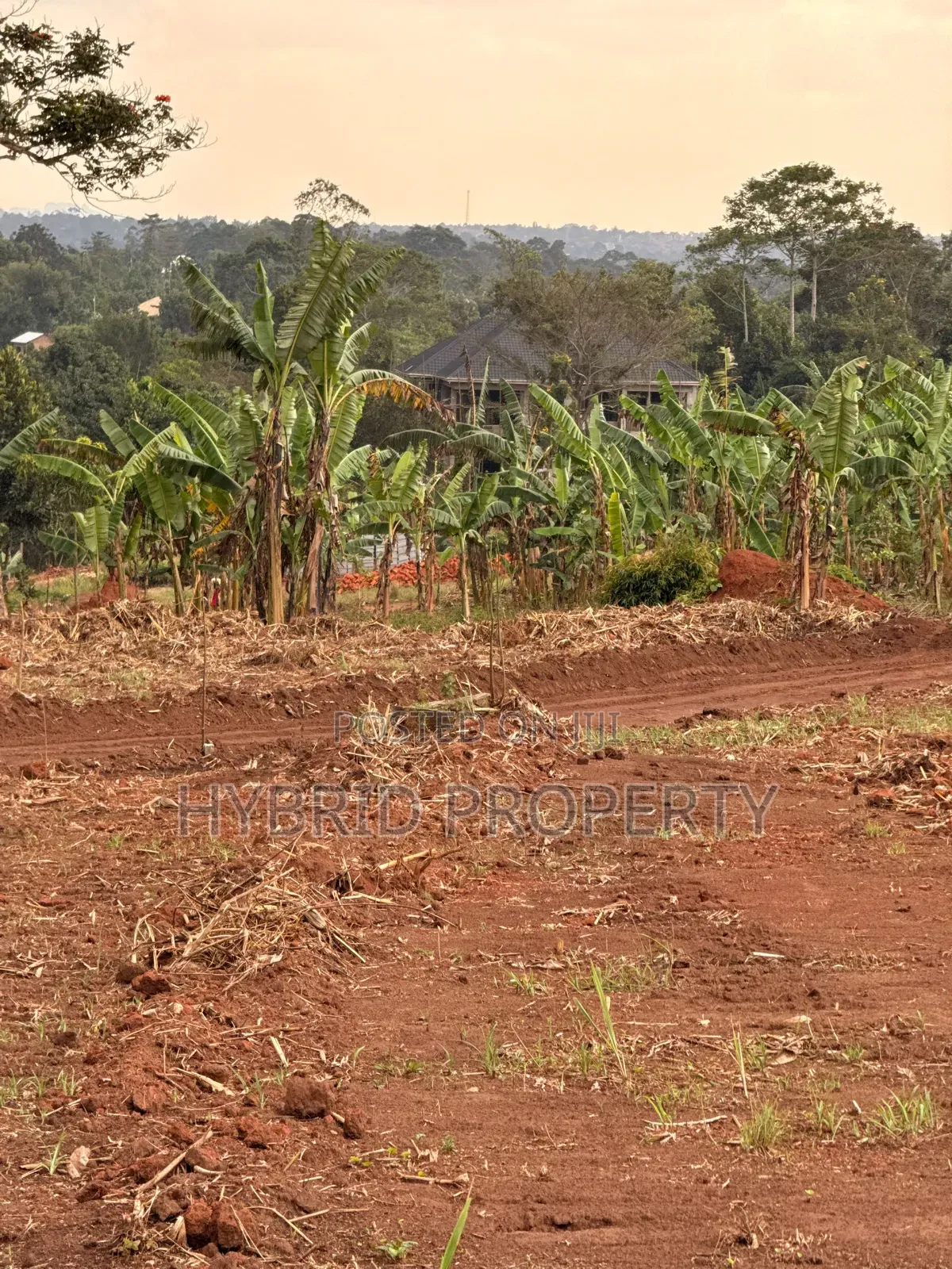 Prime Plots for Sale at Bulondo~Mabombwe Wakiso Elite Land Estate. in Wakiso / Wakiso