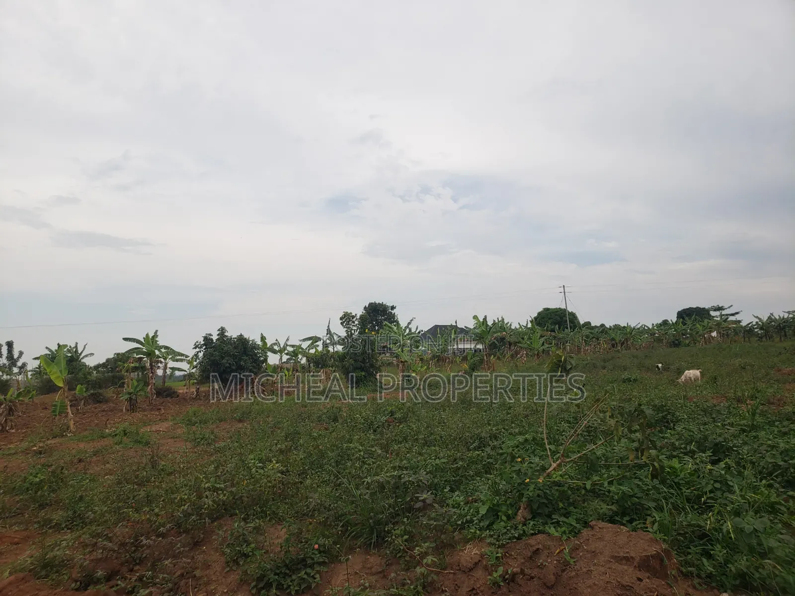 Plot for Sell Kiwenda Degeya at 12m in Kawempe