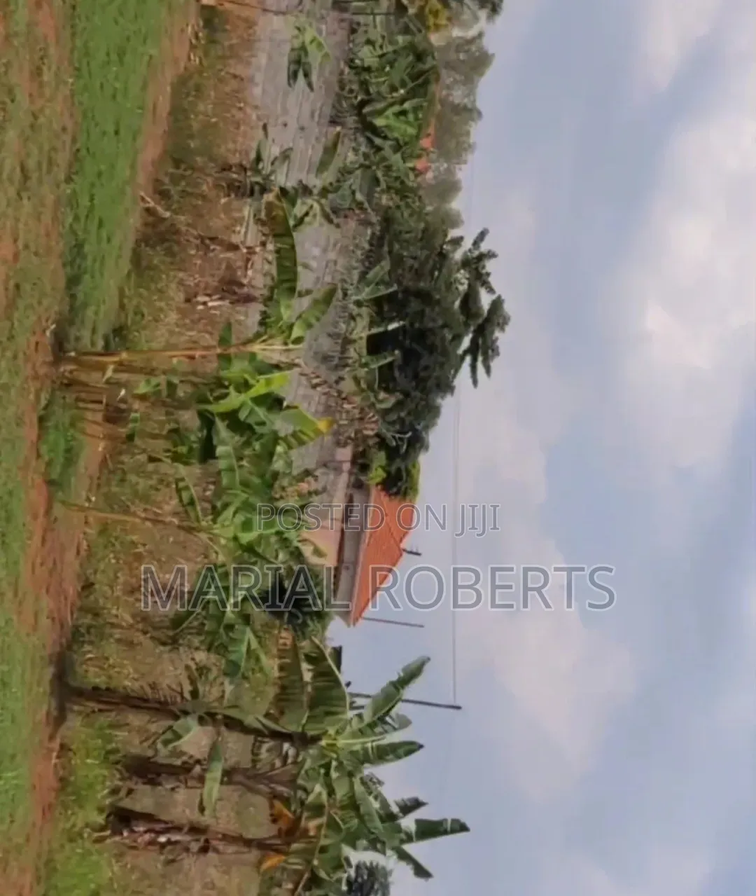 Titled Plot for Sale in Namulonge in Kira