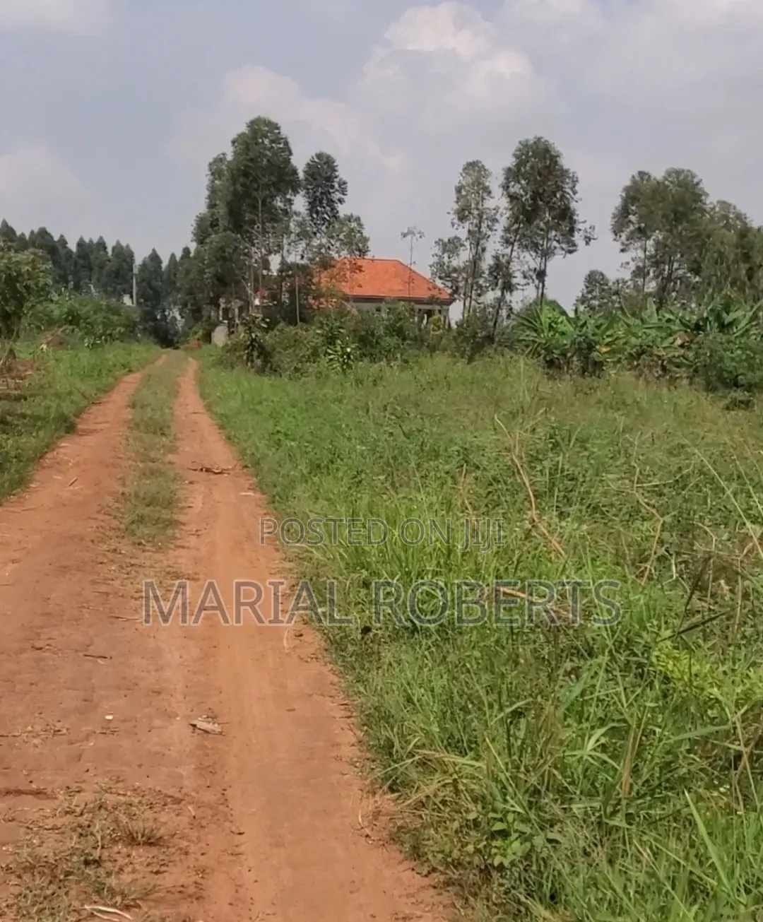Titled Plots for Sale in Gayaza Dundu in Kira