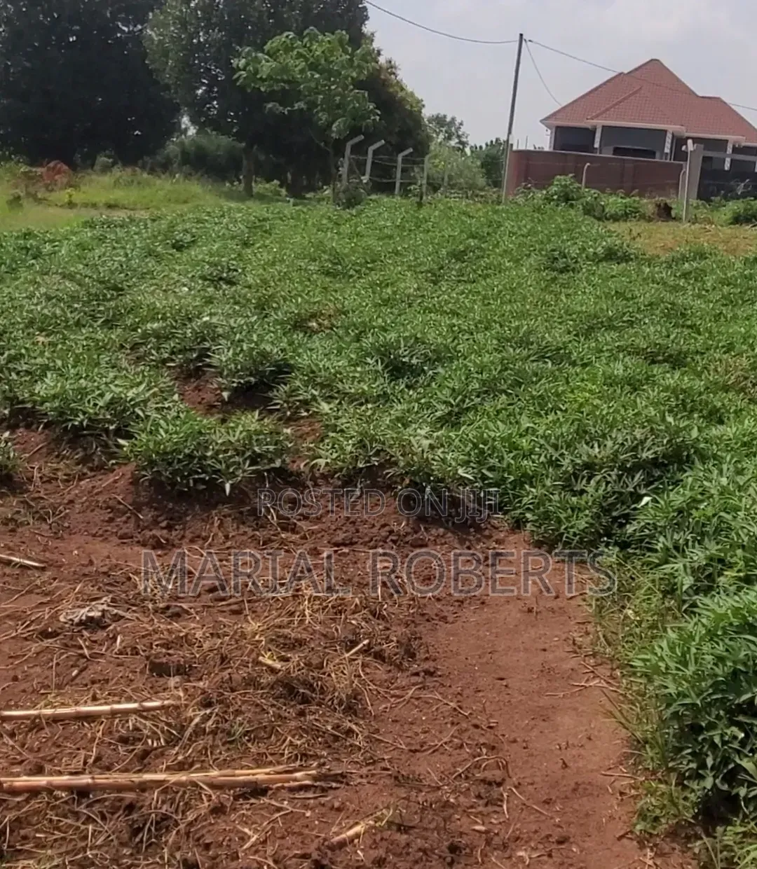 Titled Plots for Sale in Gayaza Dundu in Kira