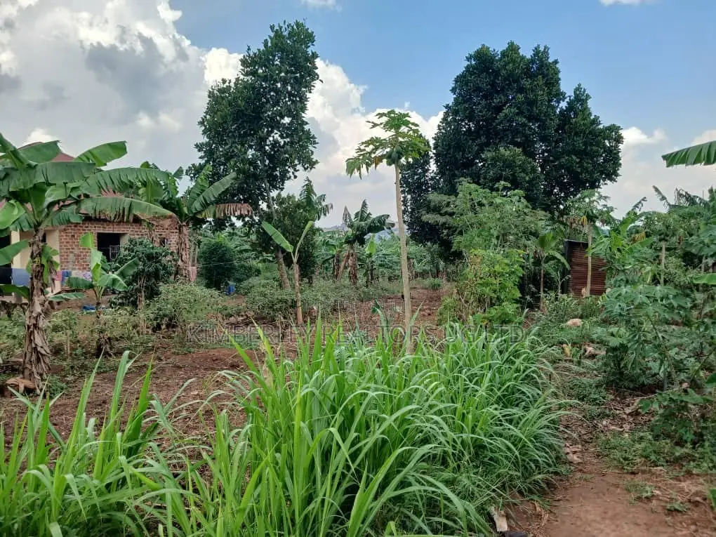 π₯π₯ Quick Sale β 1 Acre of Prime Land for Sale in Nakasajja in Division A