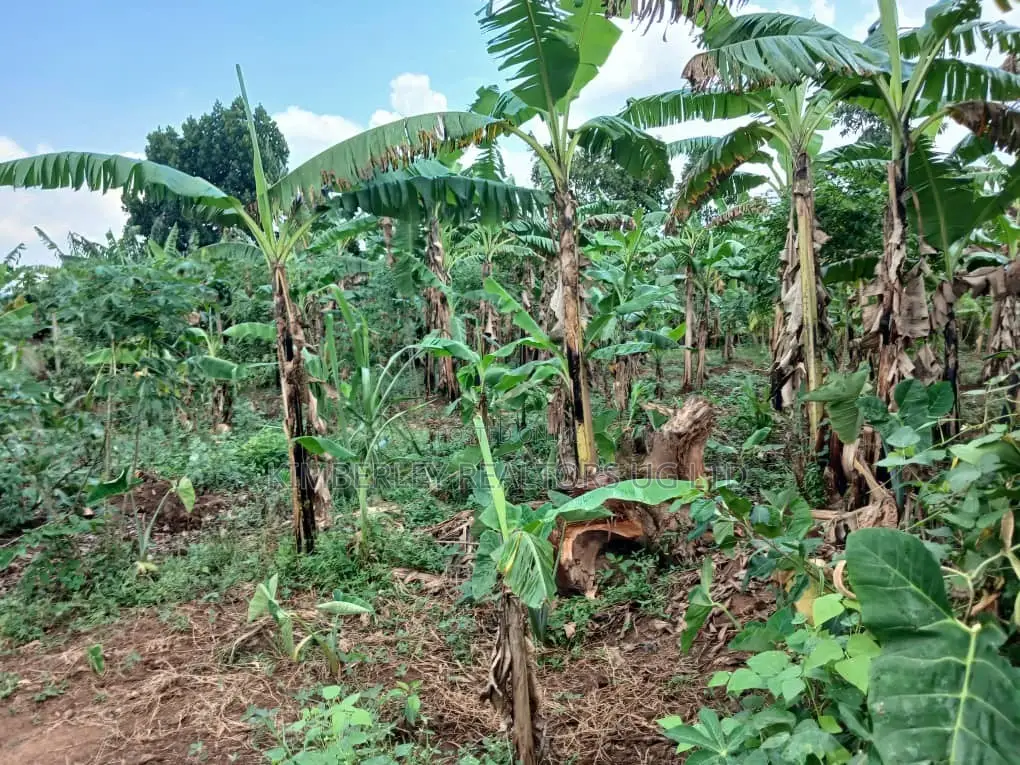 π₯π₯ Quick Sale β 1 Acre of Prime Land for Sale in Nakasajja in Division A