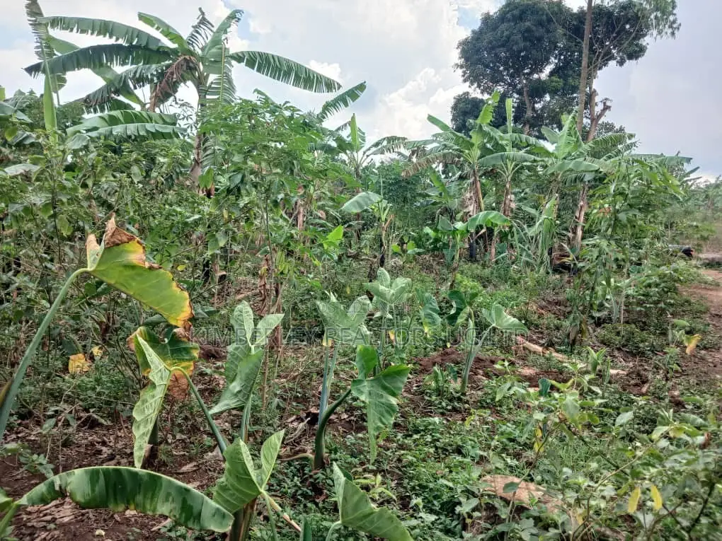 π₯π₯ Quick Sale β 1 Acre of Prime Land for Sale in Nakasajja in Division A