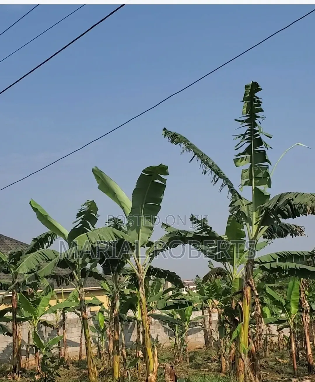 Titled Plot for Sale in Kira
