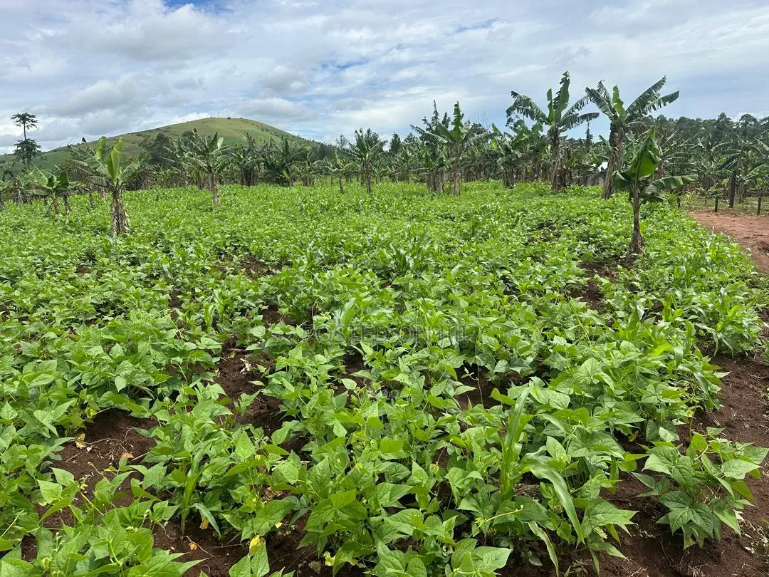 2 Acres of Land for Sale Near Bigodi in Kamwenge