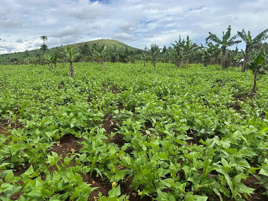 2 Acres of Land for Sale Near Bigodi in Kamwenge