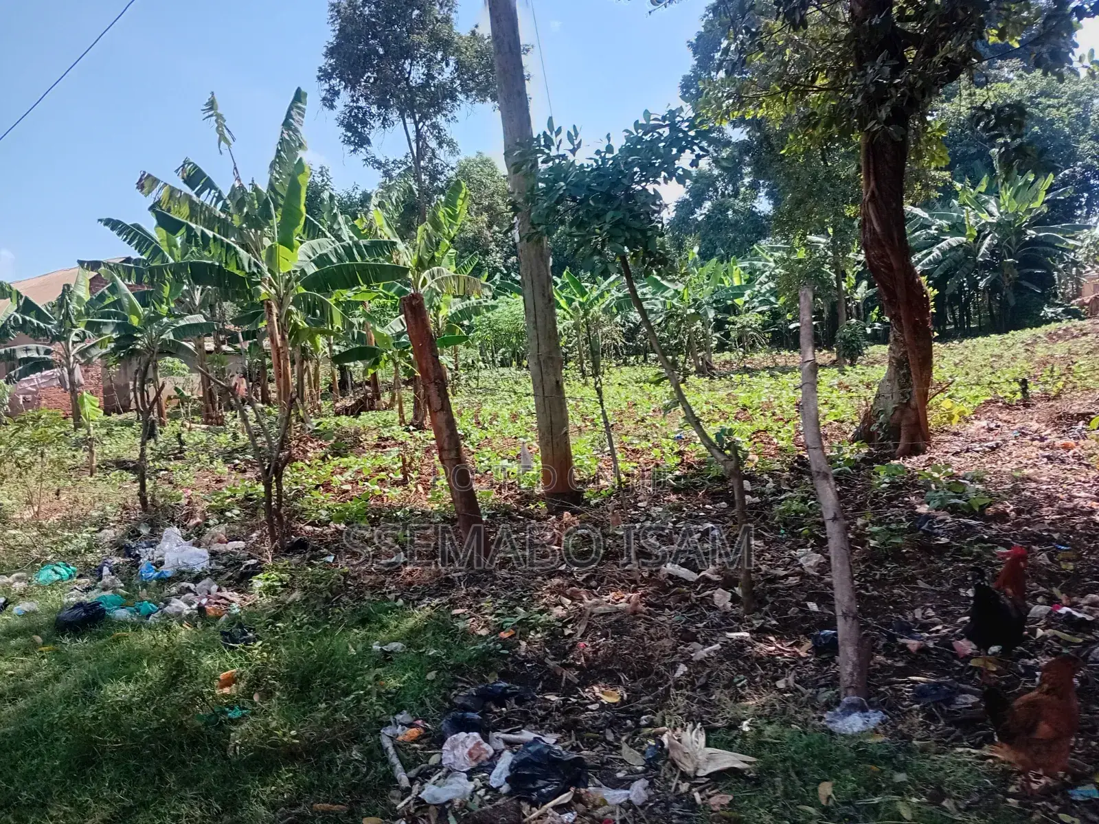 Plot for Sale in Central Division