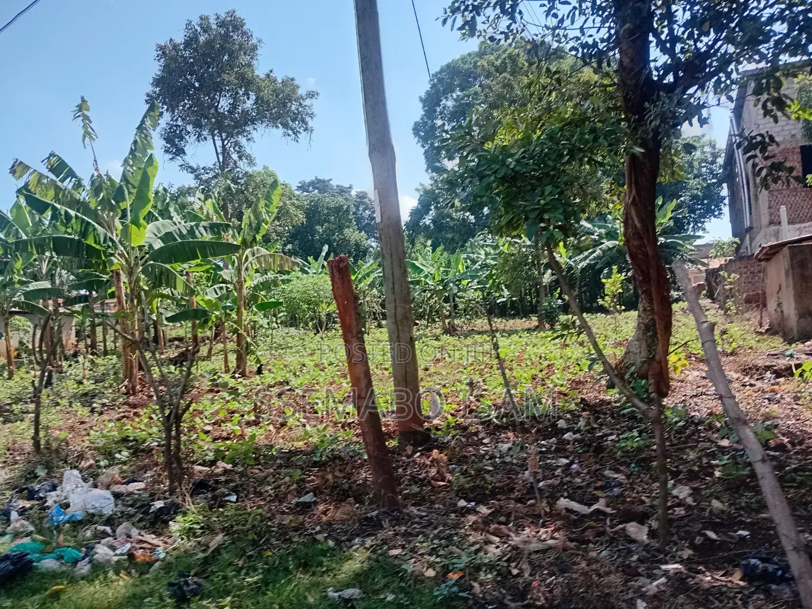 Plot for Sale in Central Division