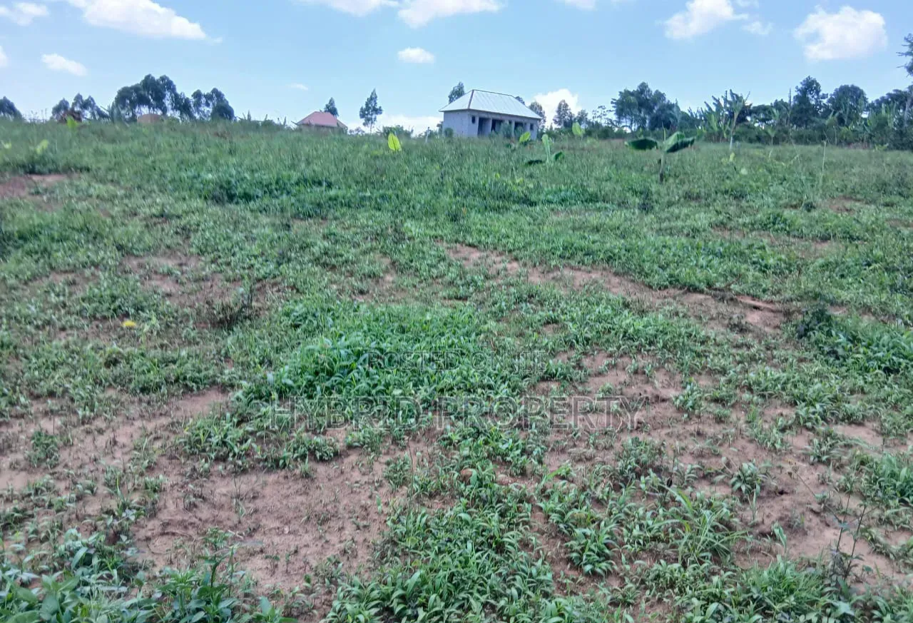 Prime Plots for Sale at Nakirebe~Kyeyitabya Land Estate~Masaka Road. in Kiringente