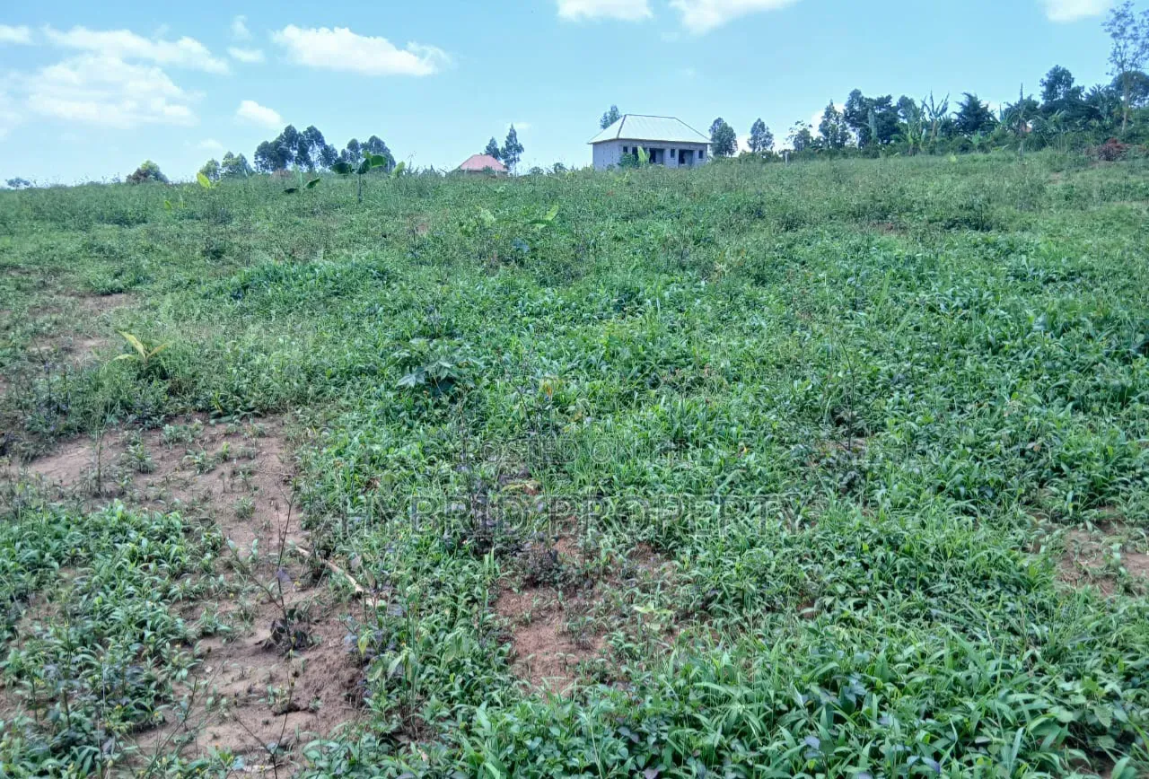 Prime Plots for Sale at Nakirebe~Kyeyitabya Land Estate~Masaka Road. in Kiringente