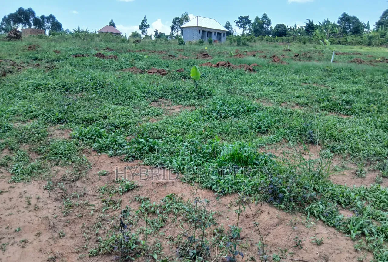 Prime Plots for Sale at Nakirebe~Kyeyitabya Land Estate~Masaka Road. in Kiringente