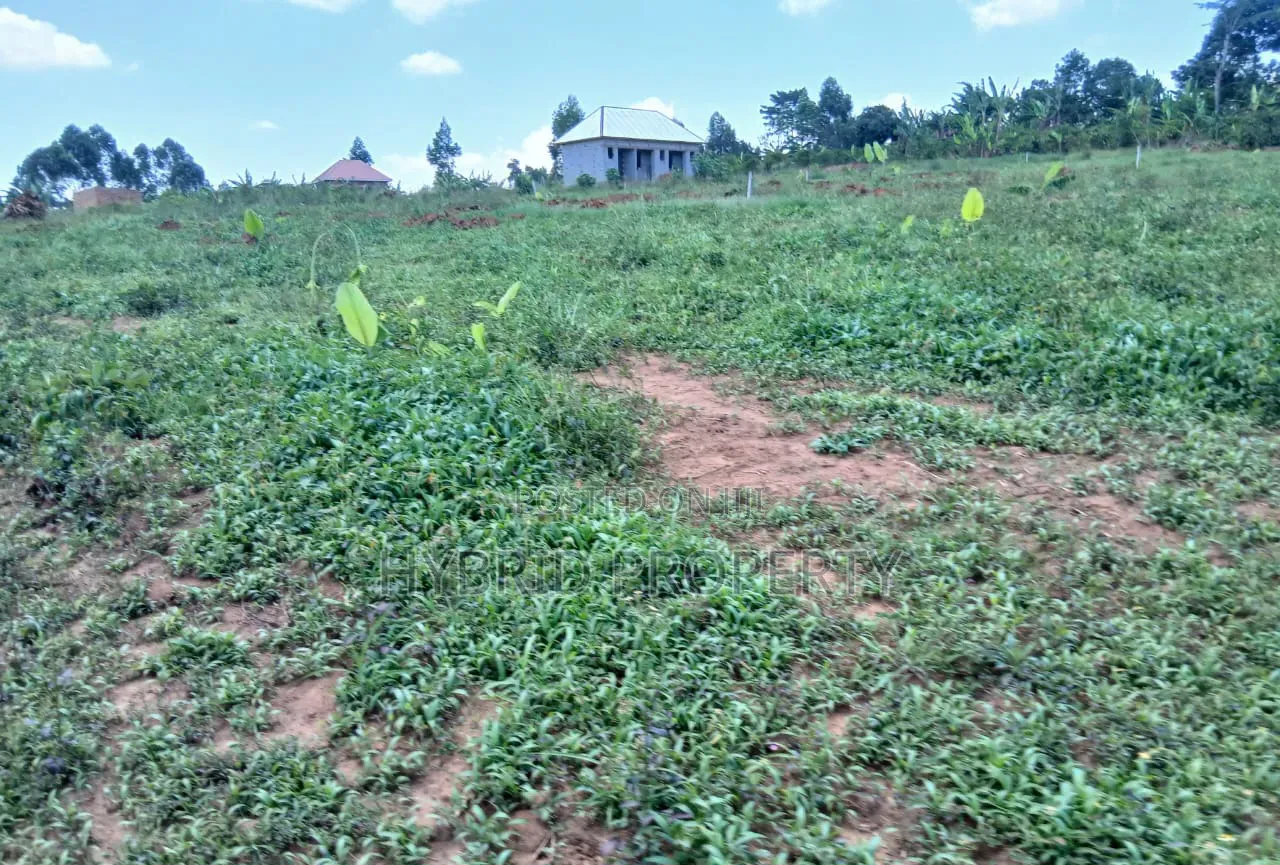 Prime Plots for Sale at Nakirebe~Kyeyitabya Land Estate~Masaka Road. in Kiringente