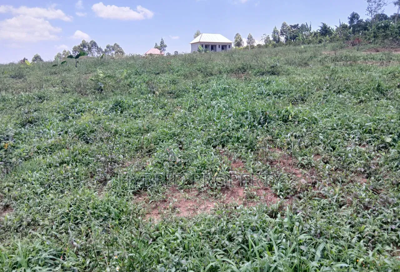 Prime Plots for Sale at Nakirebe~Kyeyitabya Land Estate~Masaka Road. in Kiringente