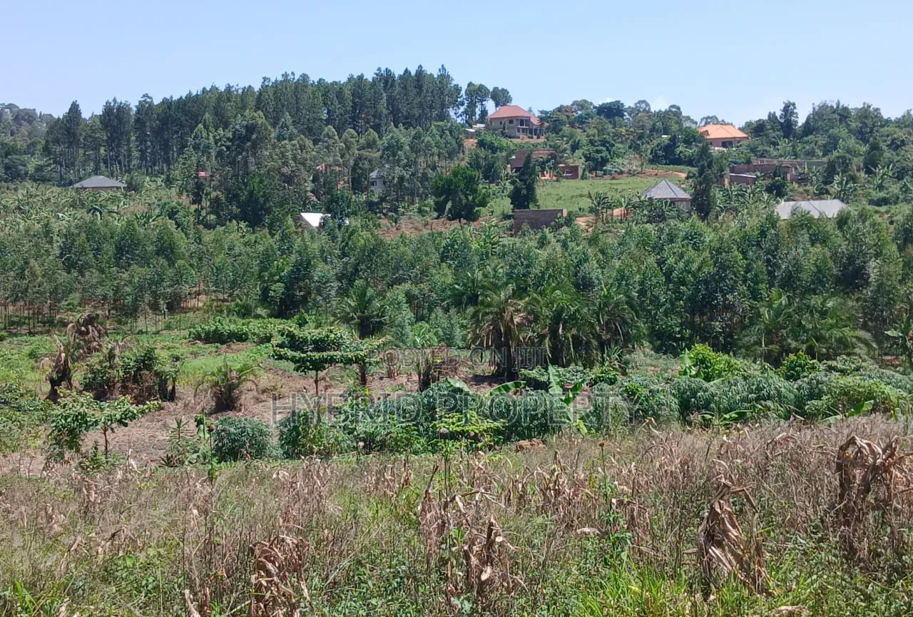 Prime Plots for Sale at Katende~Kiringente Divine Estate~Masaka Road. in Kiringente