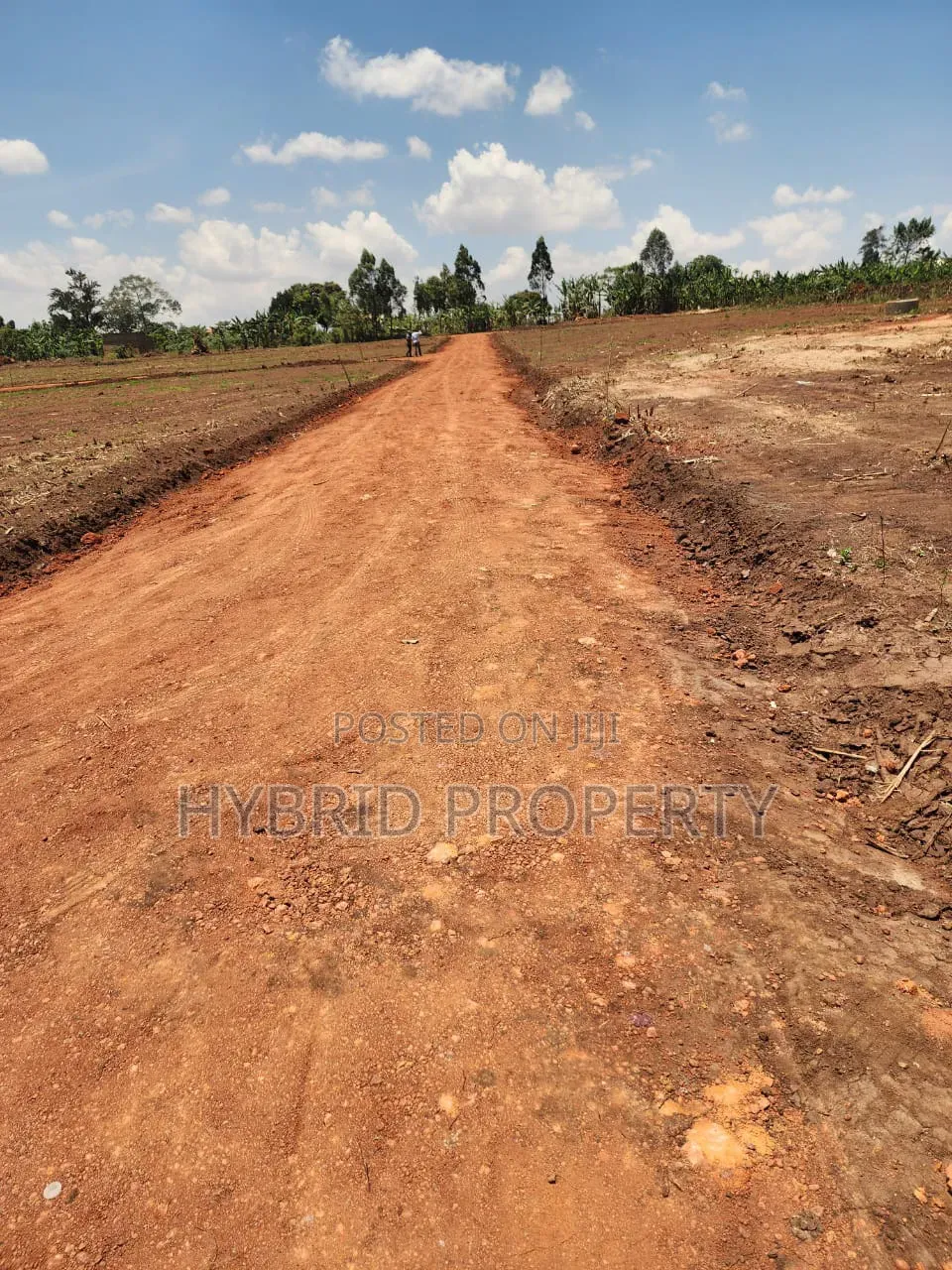 Prime Plots for Sale at Mabombwe~Bulondo Wakiso Divine Land Estate X in Wakiso / Wakiso
