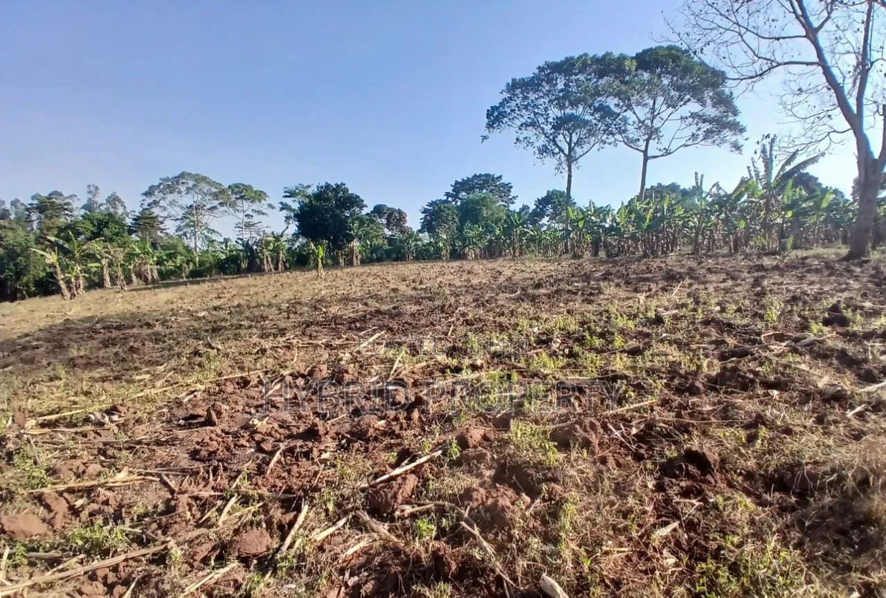 5Acres of Land for Sale at Bulondo~Mabombwe Wakiso Along Hoima Road. in Wakiso / Wakiso