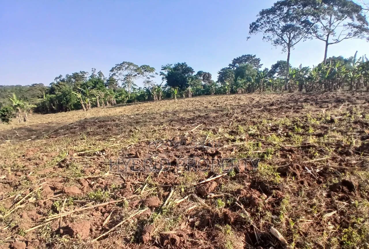 5Acres of Land for Sale at Bulondo~Mabombwe Wakiso Along Hoima Road. in Wakiso / Wakiso