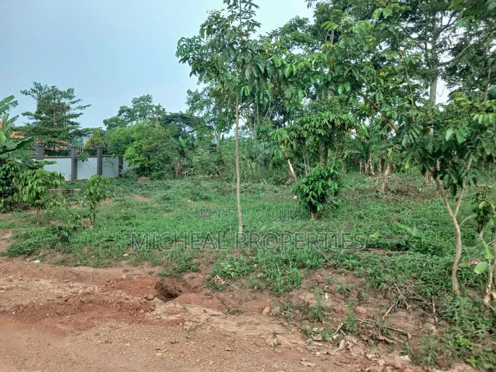 100ft by 100ft for Sell Kasangati Nalusuga at 100m in Kawempe