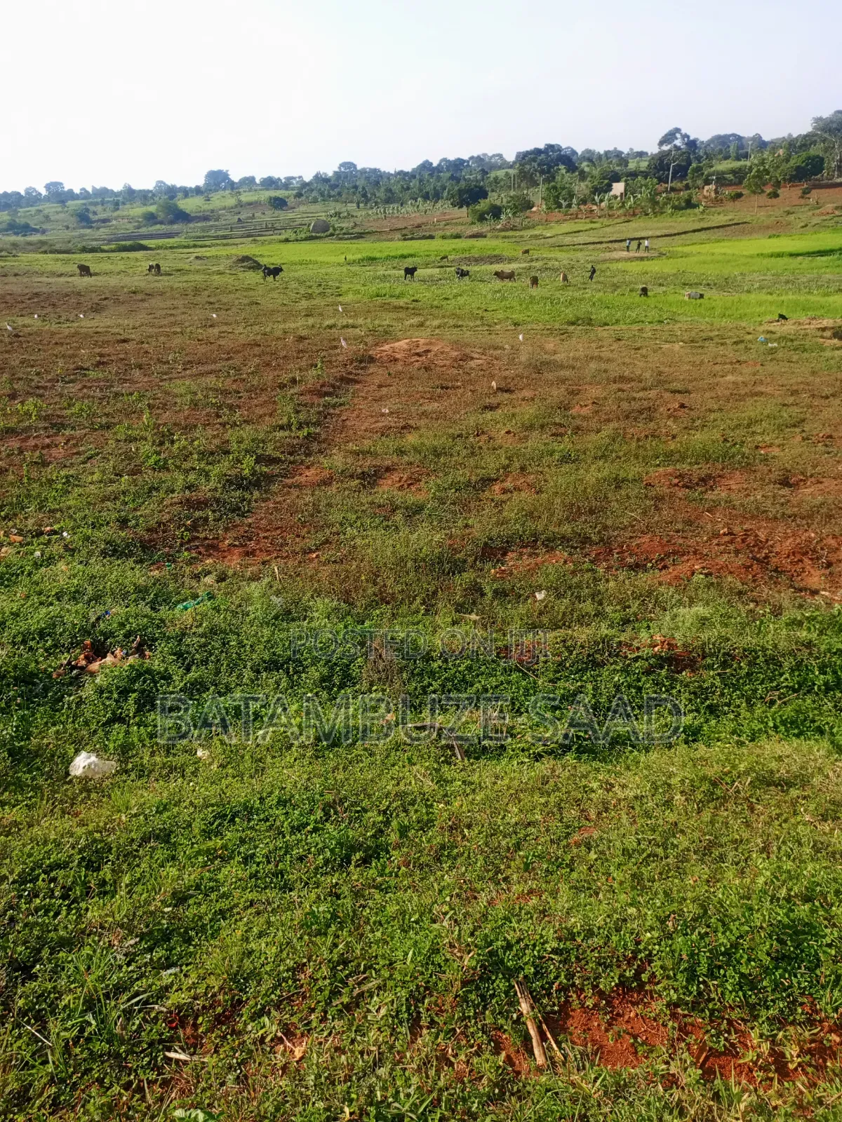 7 Acres for Sale in Mayuge District in Mayuge