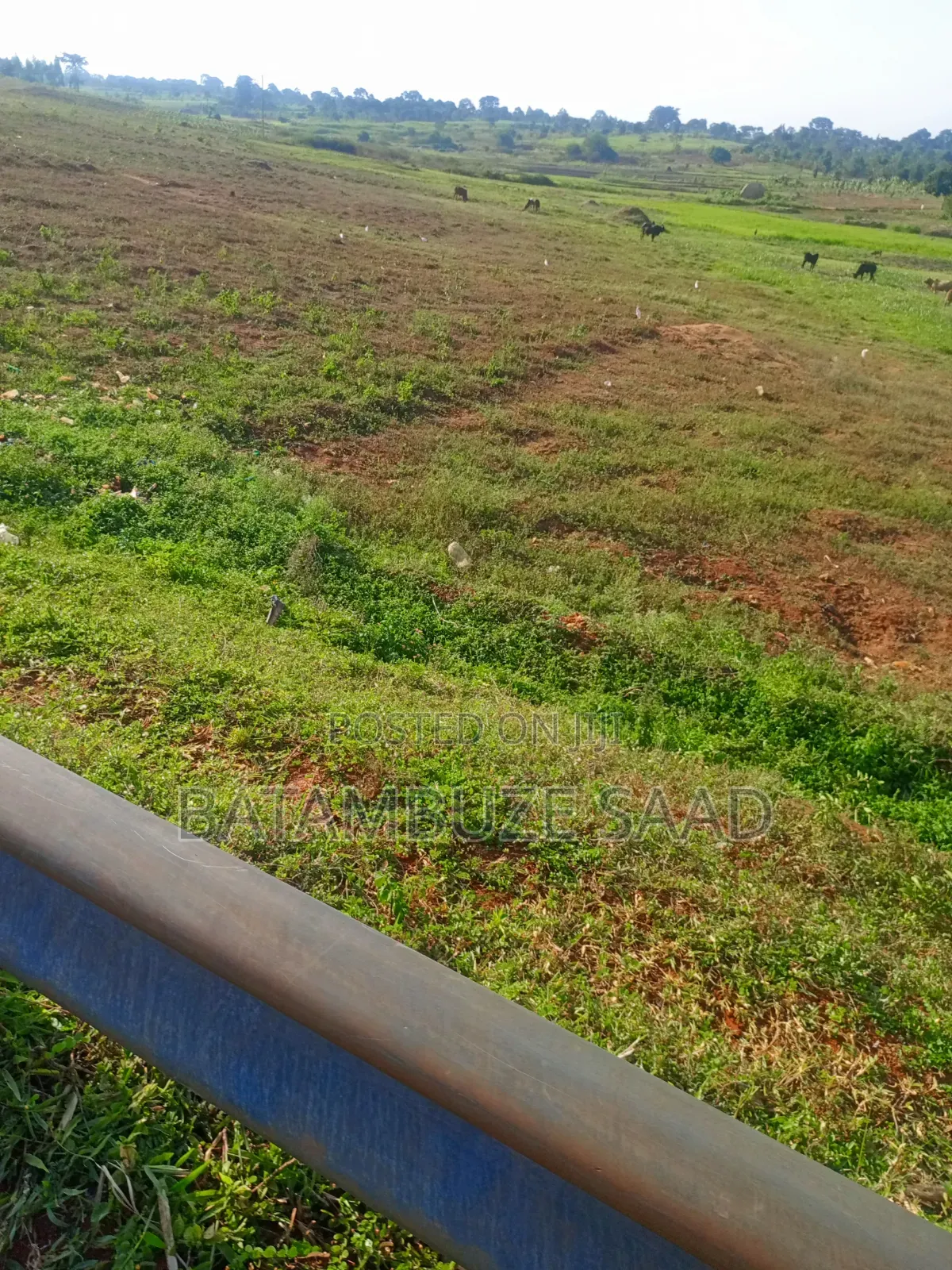 7 Acres for Sale in Mayuge District in Mayuge