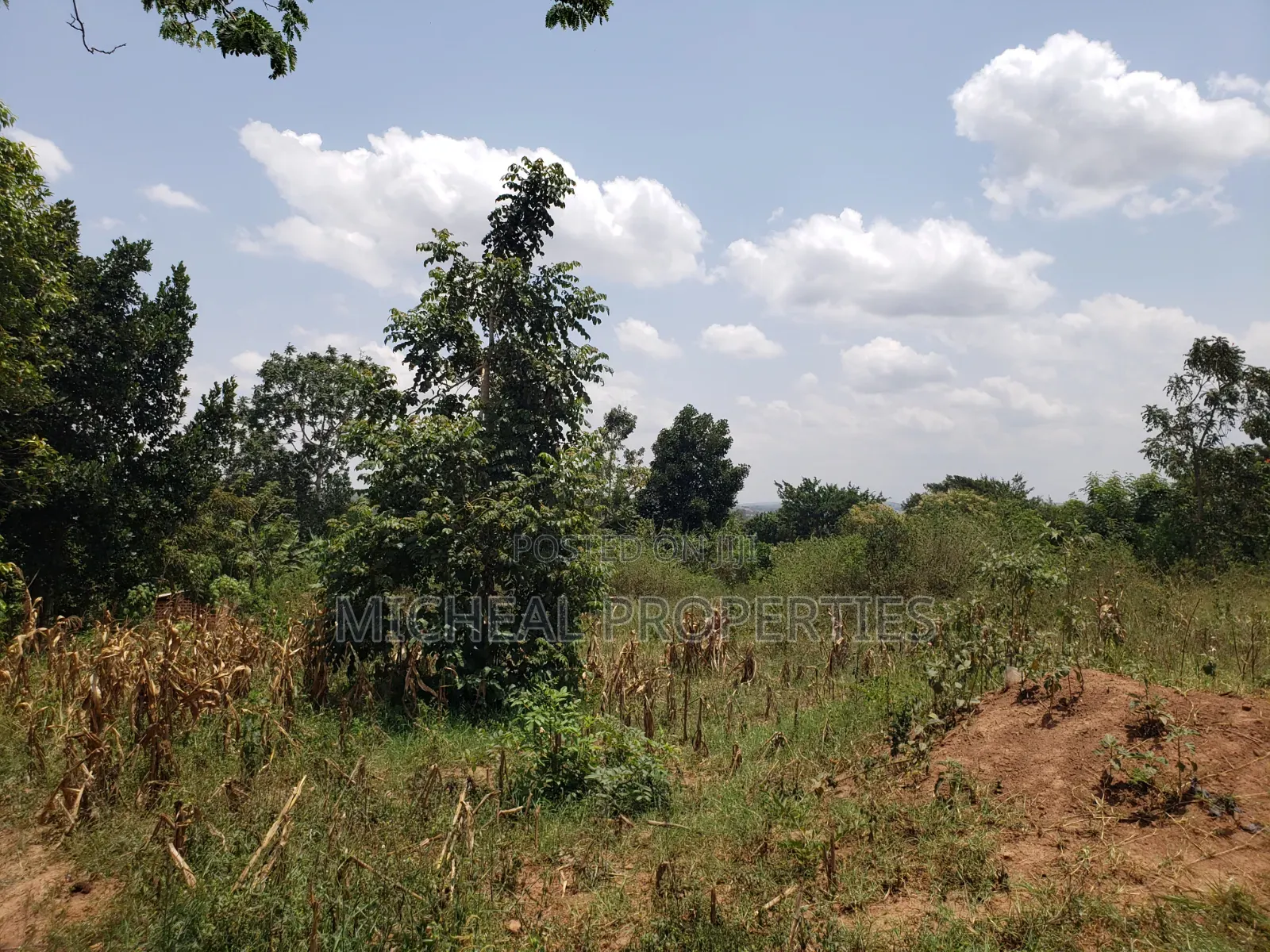 1acer and 37 Decimals Gayaza Nakasajja 120m in Kawempe