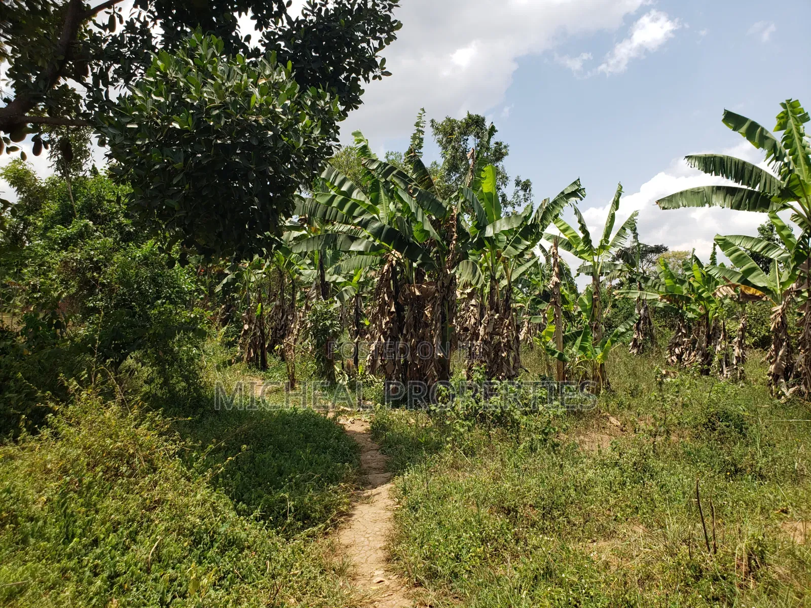 1acer and 37 Decimals Gayaza Nakasajja 120m in Kawempe