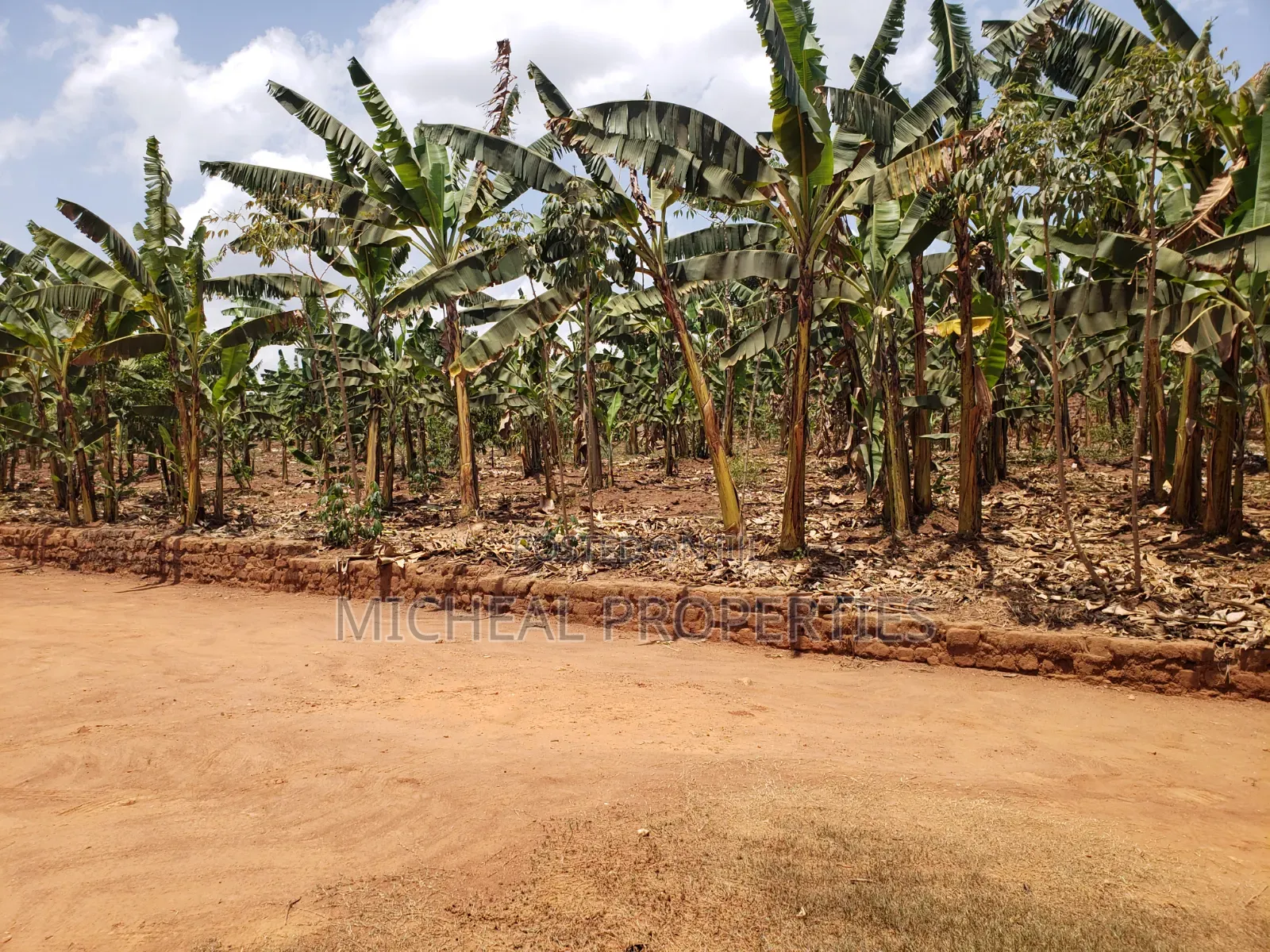 1acer for Sell Gayaza Nakwero at 600m in Kawempe