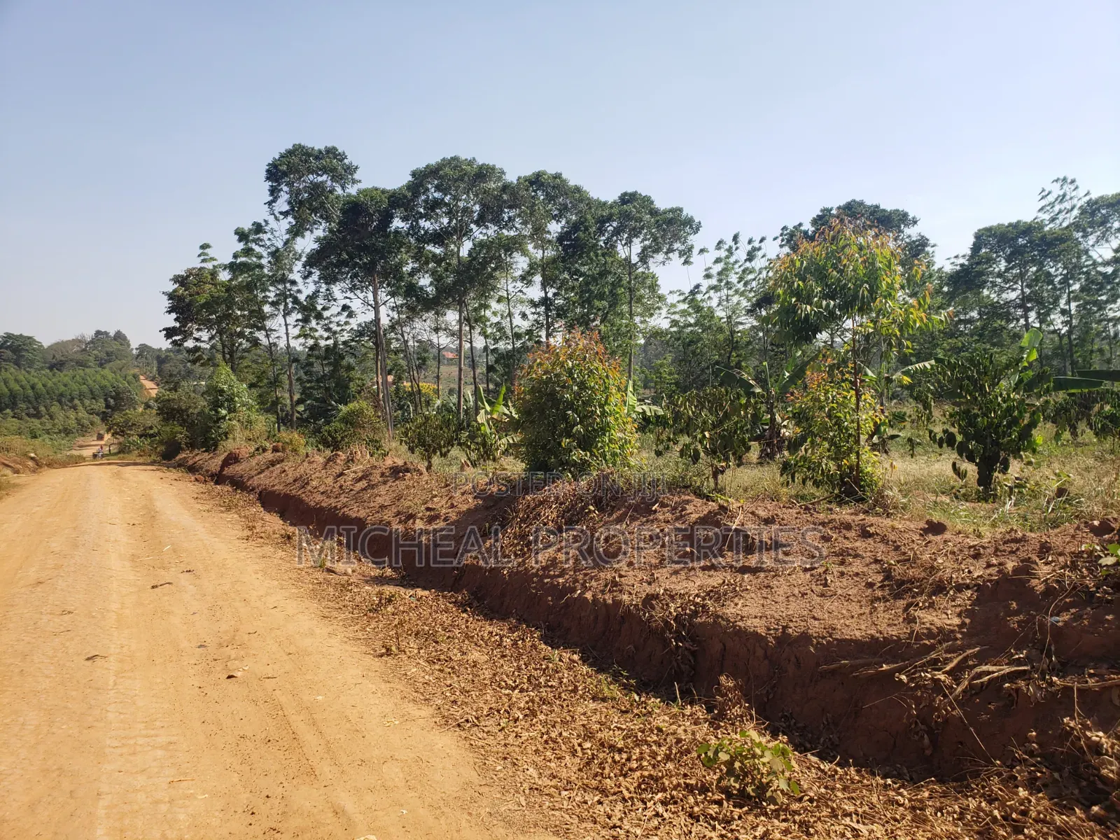 2acres for Sell Buwambo Lugo at 250m in Kawempe