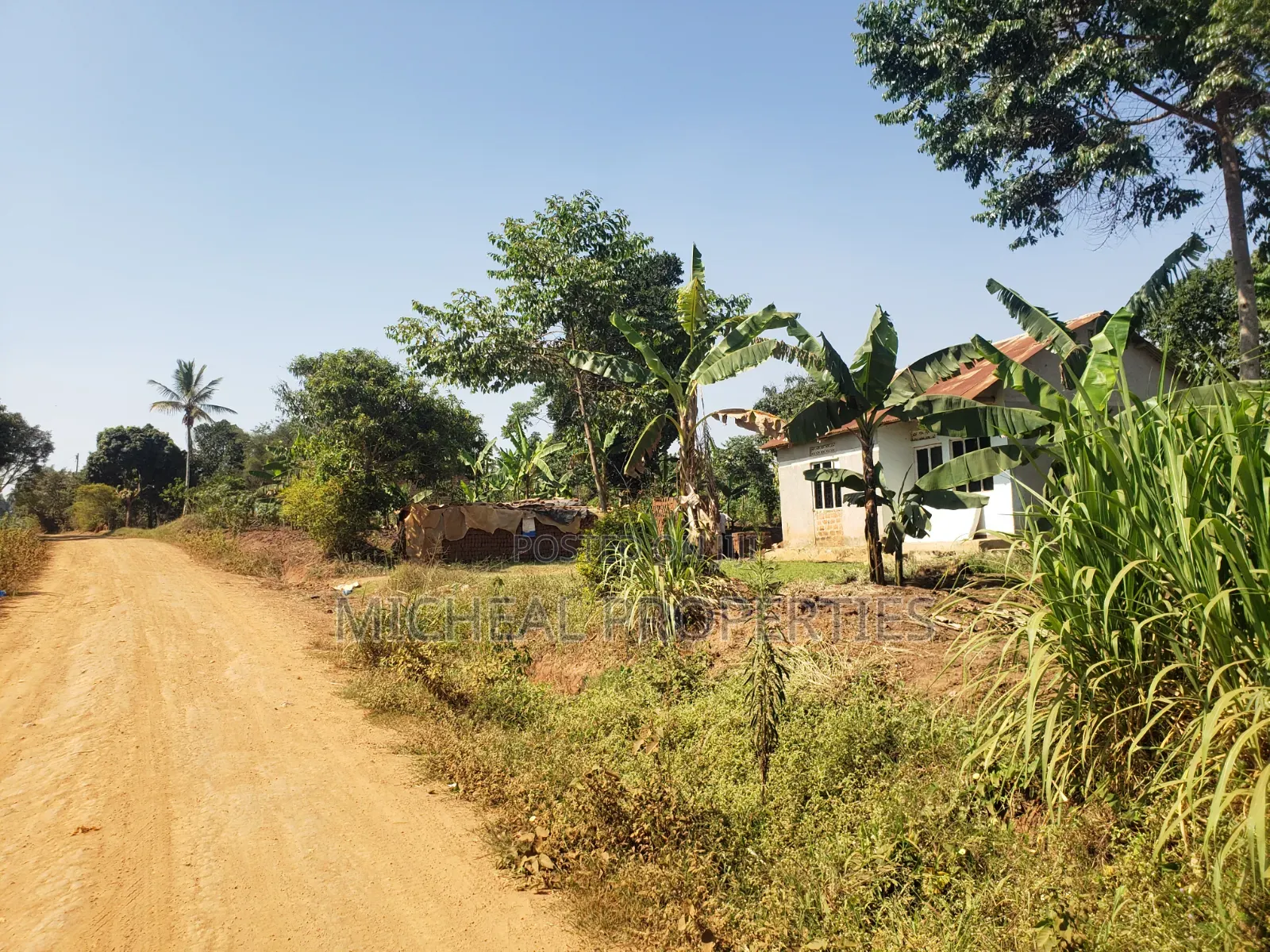 2acres for Sell Buwambo Lugo at 250m in Kawempe