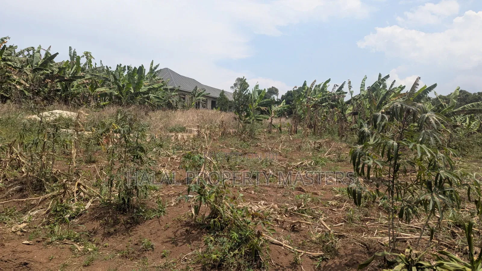 Plot for Sale in Gombe