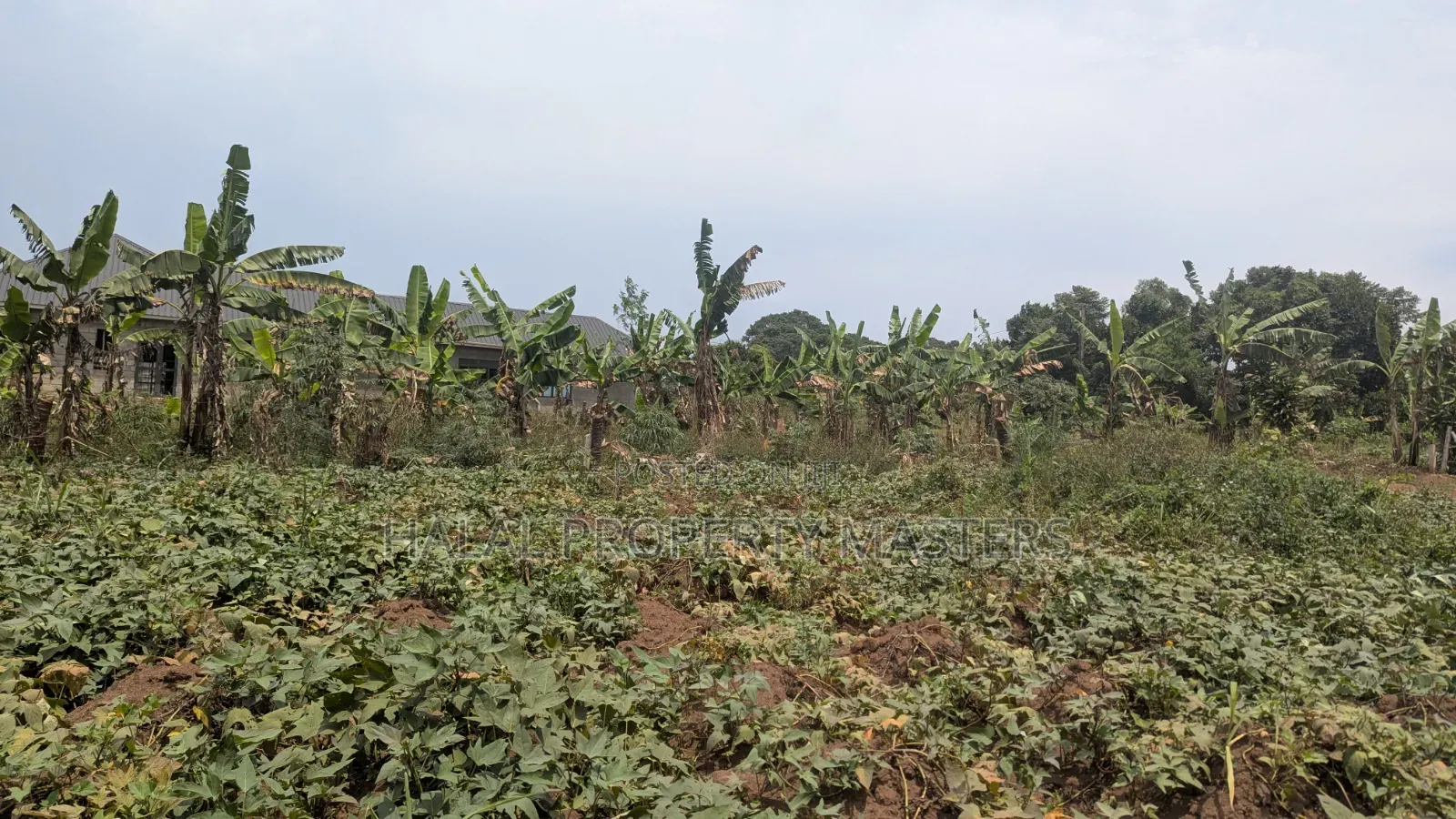 Plot for Sale in Gombe