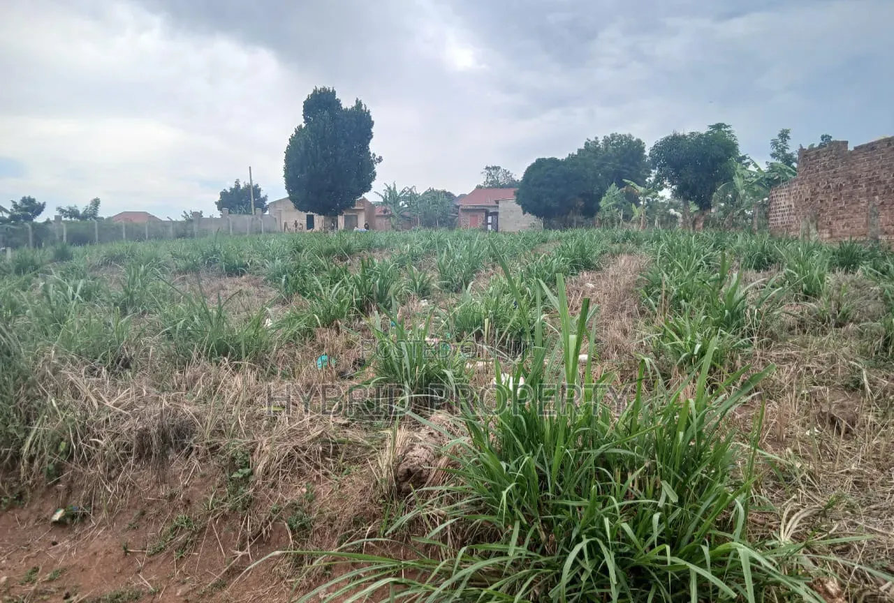 64 Decimals of Prime Land for Sale at Namusera~Kakunyu Along Hoima Rd. in Wakiso / Wakiso