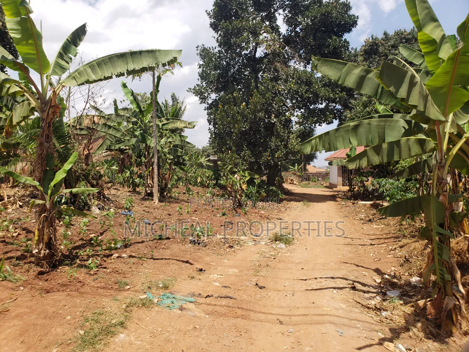 Plot for Sell Kunbuzi Gayaza Rd at 45m in Kawempe
