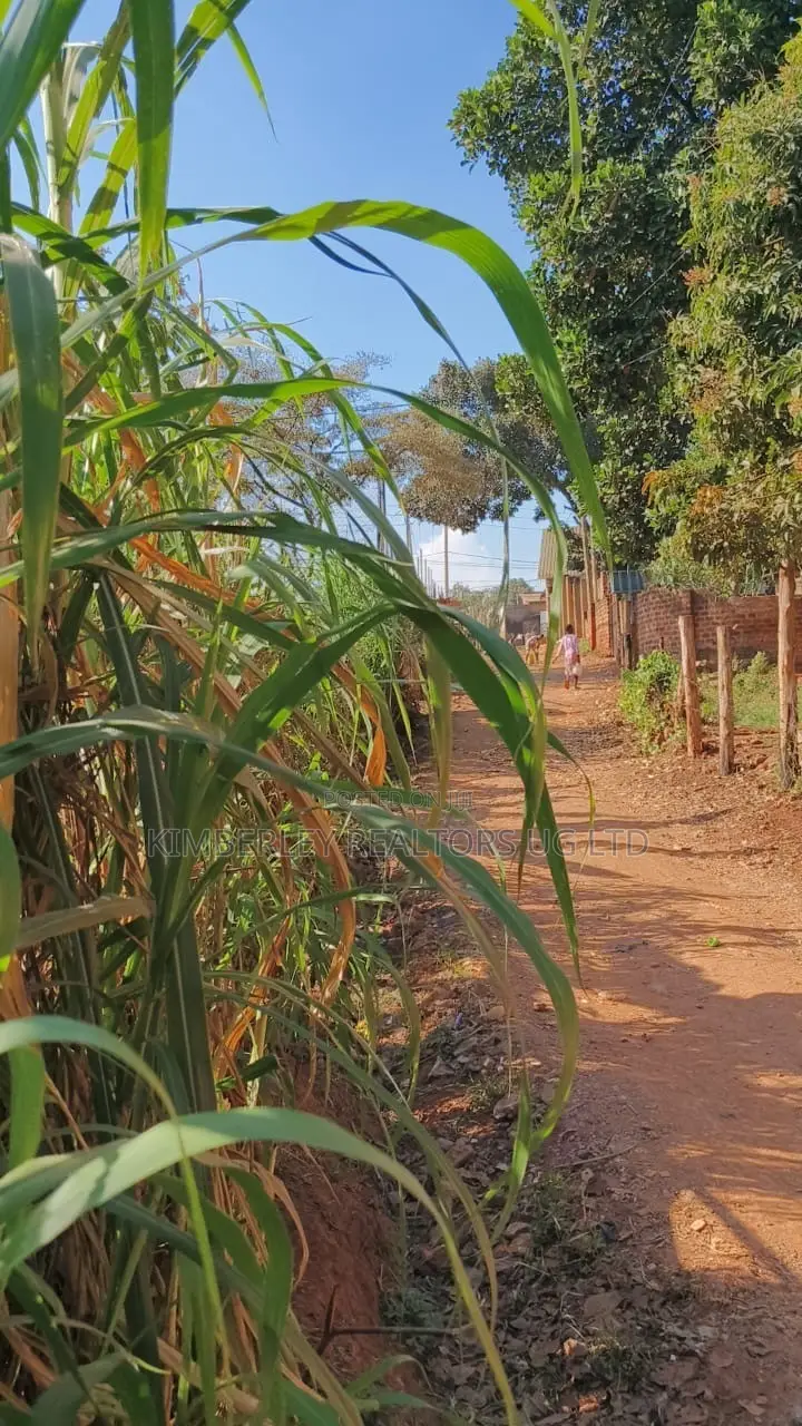 🔥🔥 35 Decimals of Prime Land for Sale in Kawempe Ttula! 🔥🔥 in Kawempe