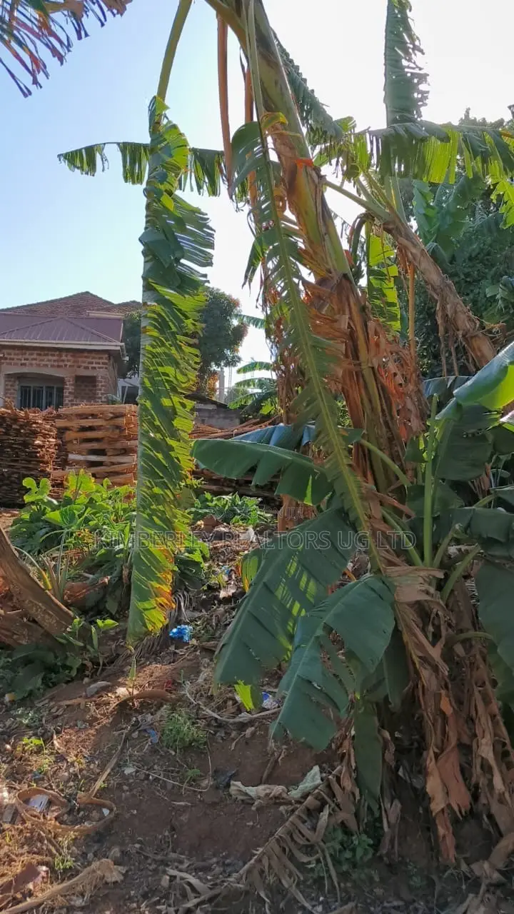 🔥🔥 15 Commercial Decimals of Prime Land for Sale in Kawempe Ttula! 🔥🔥 in Kawempe