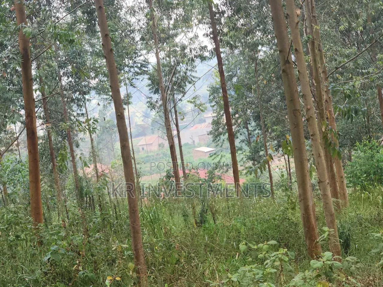 6.4 Acres of Land at 200M Each Found in Mukono Kasangalabi in Nakawa