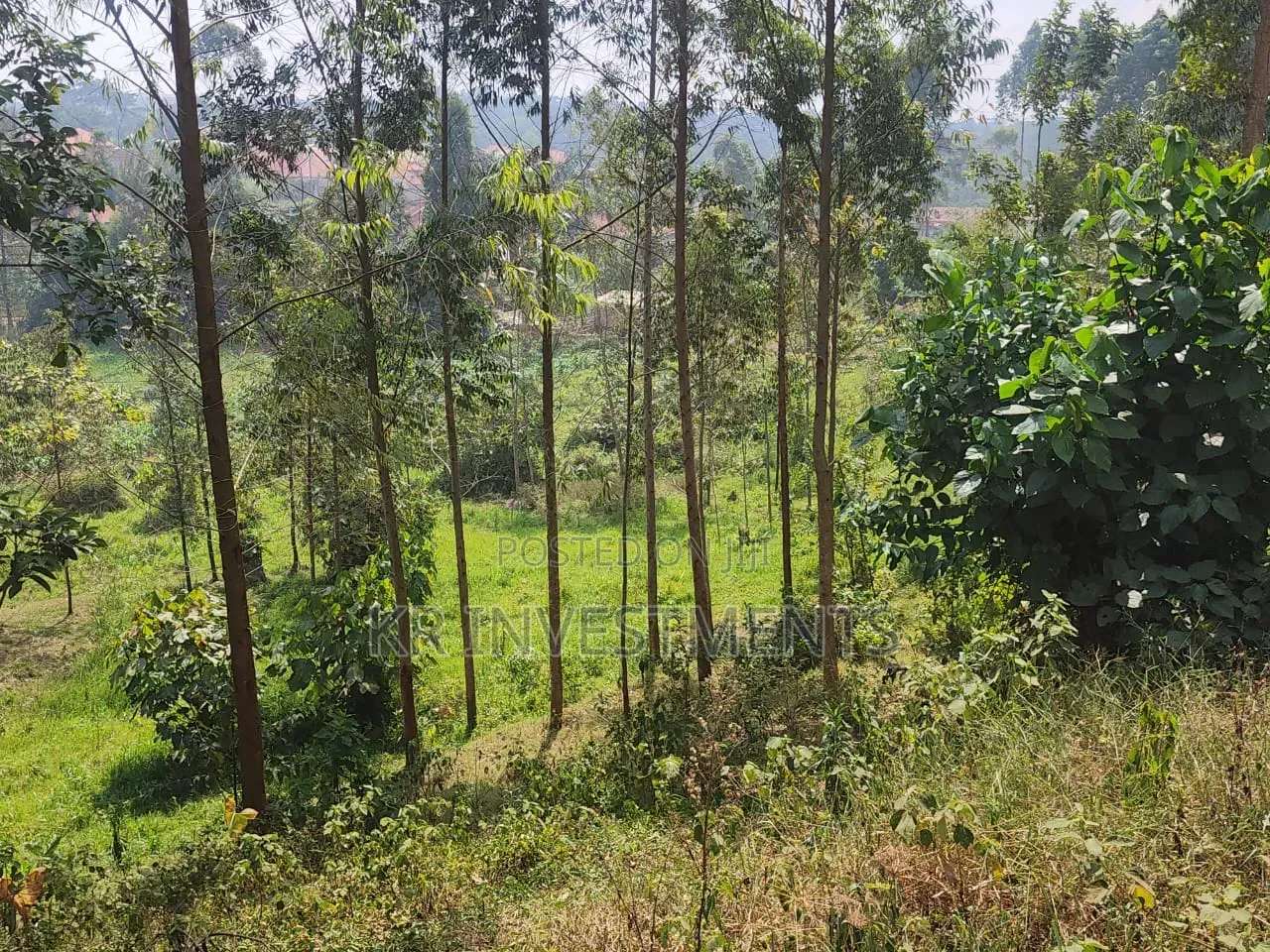 6.4 Acres of Land at 200M Each Found in Mukono Kasangalabi in Nakawa