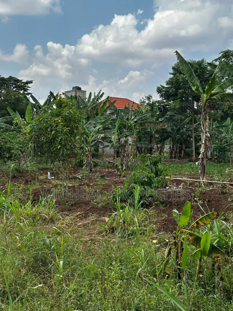 28 Decimals for Sell Busika Vumba 35m in Kawempe