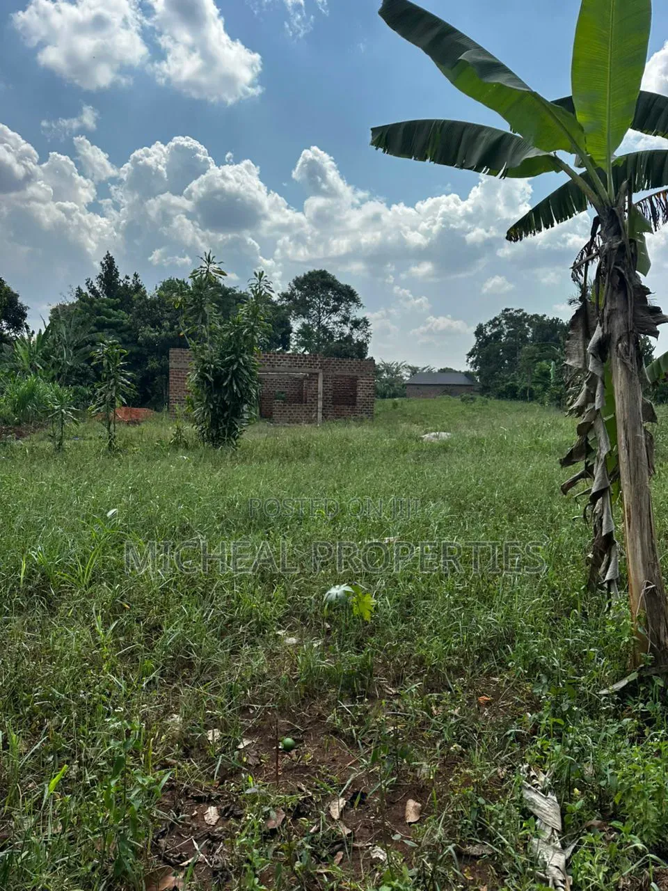 28 Decimals for Sell Busika Vumba 35m in Kawempe