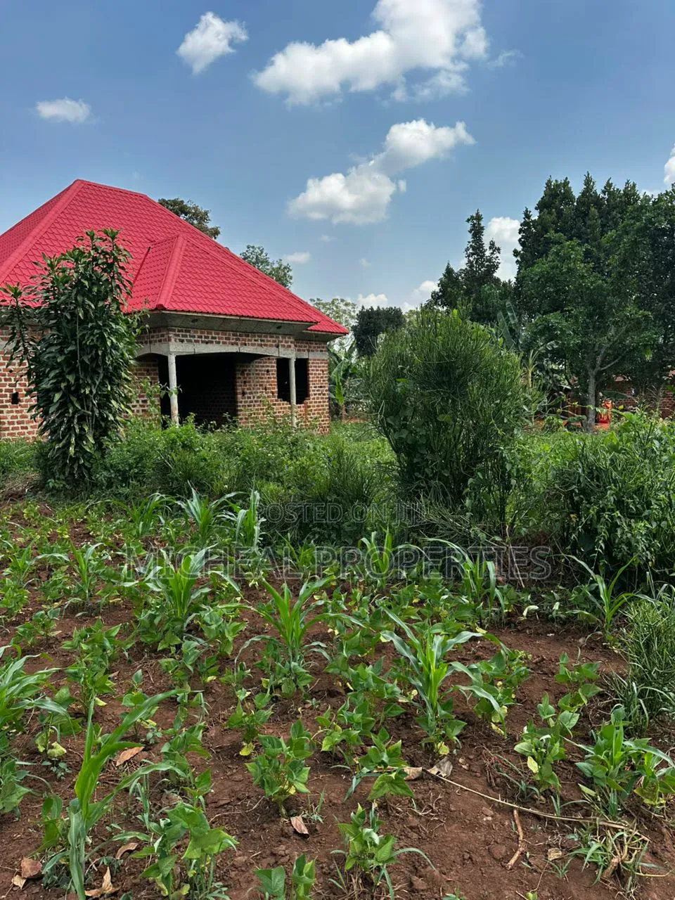 28 Decimals for Sell Busika Vumba 35m in Kawempe