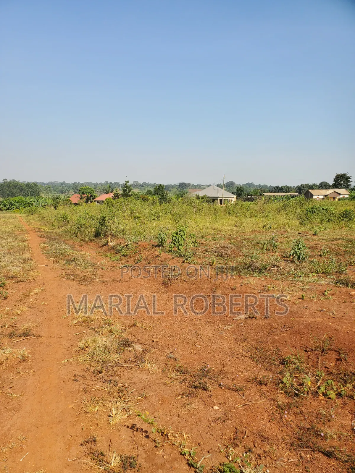 This Is Still Busiika Estate 19m in Kira