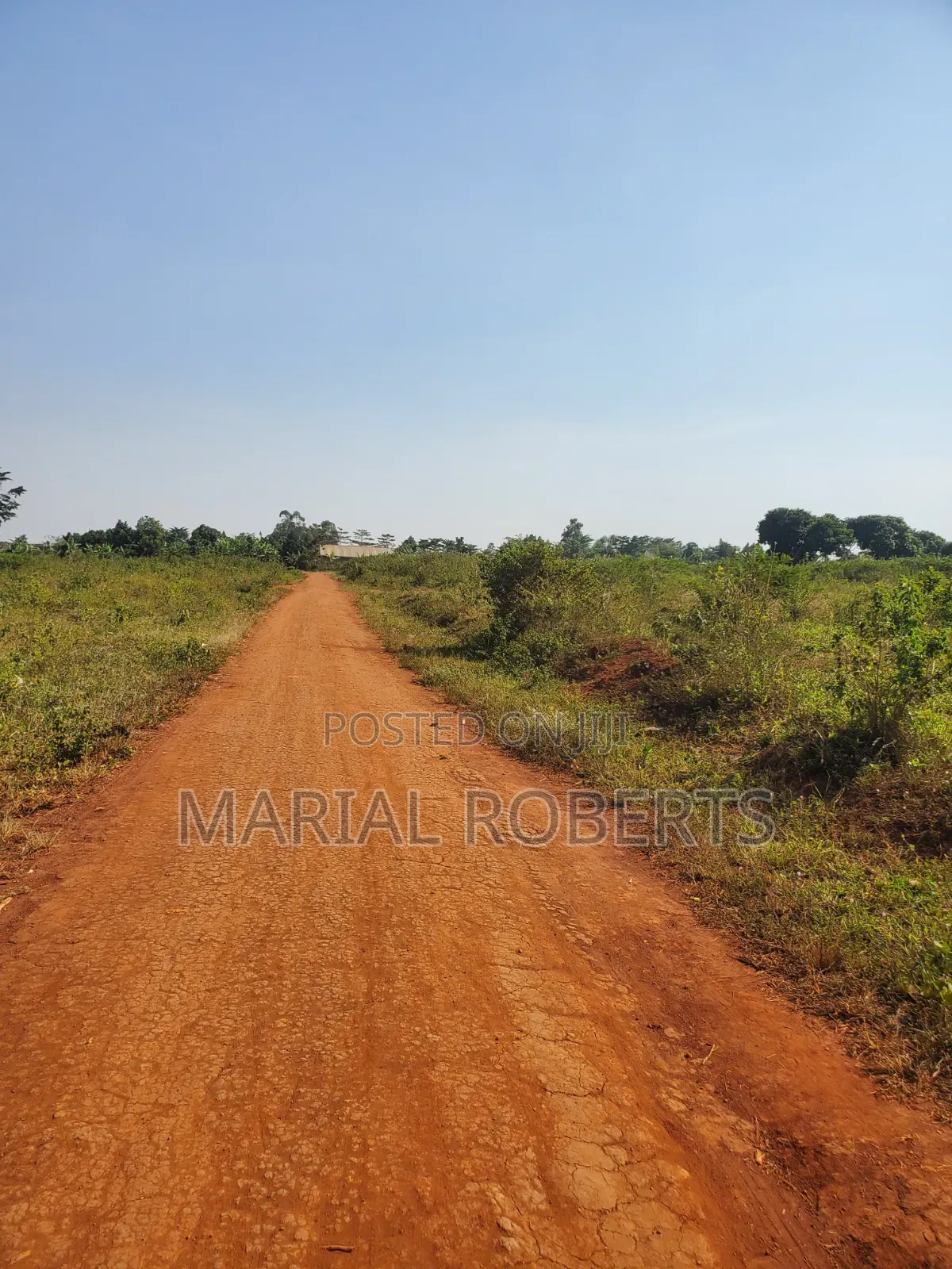 This Is Still Busiika Estate 19m in Kira