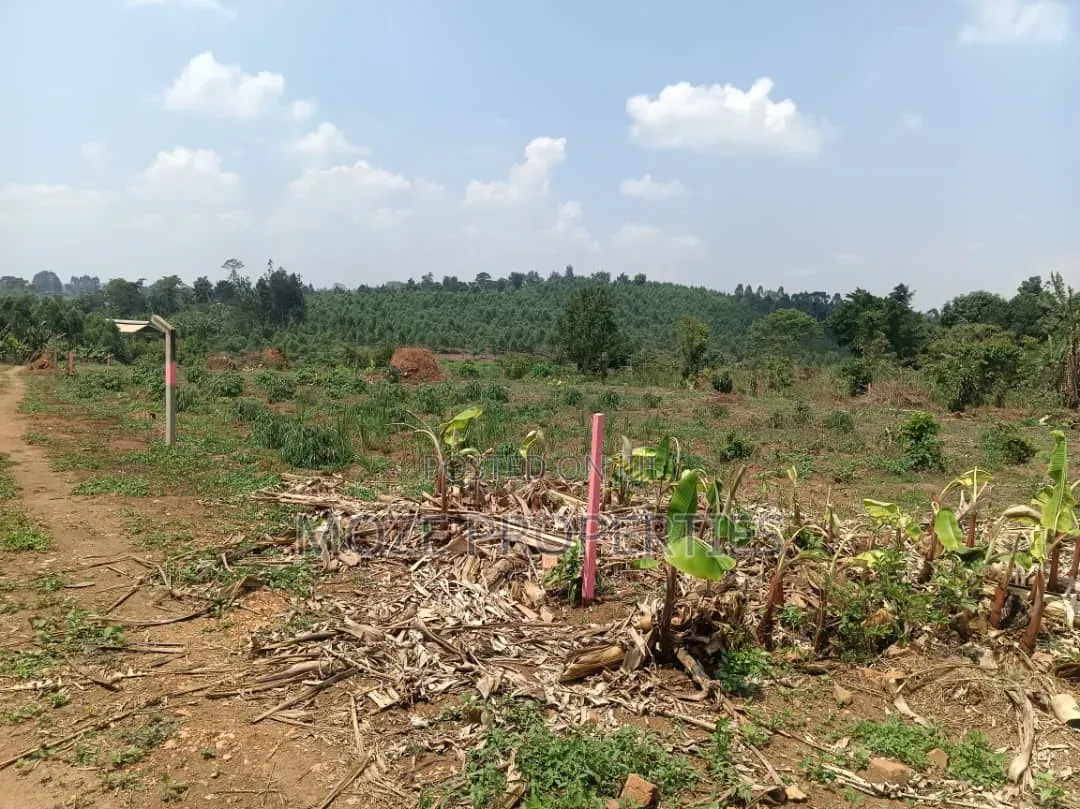 Namugongo Bukerere 50x100 Plots for Sale. in Central Division