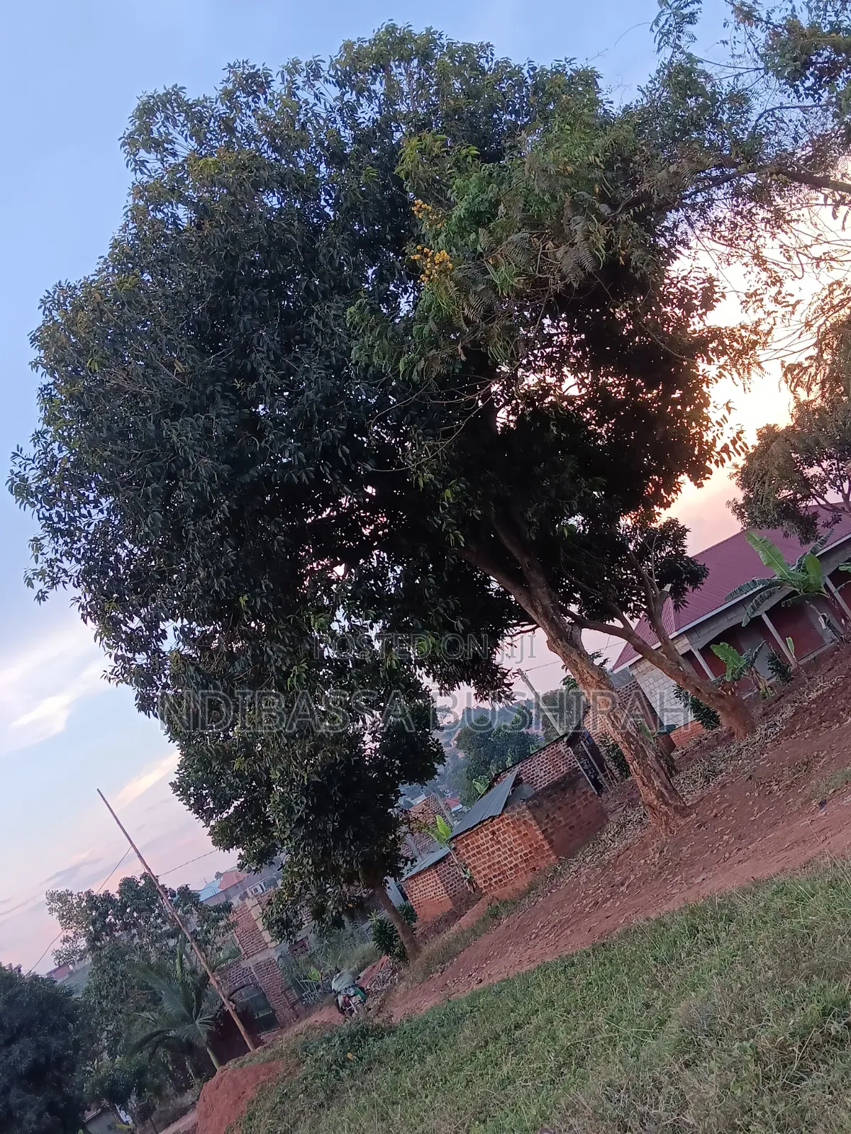 Hot Cake in Katooke in Nabweru