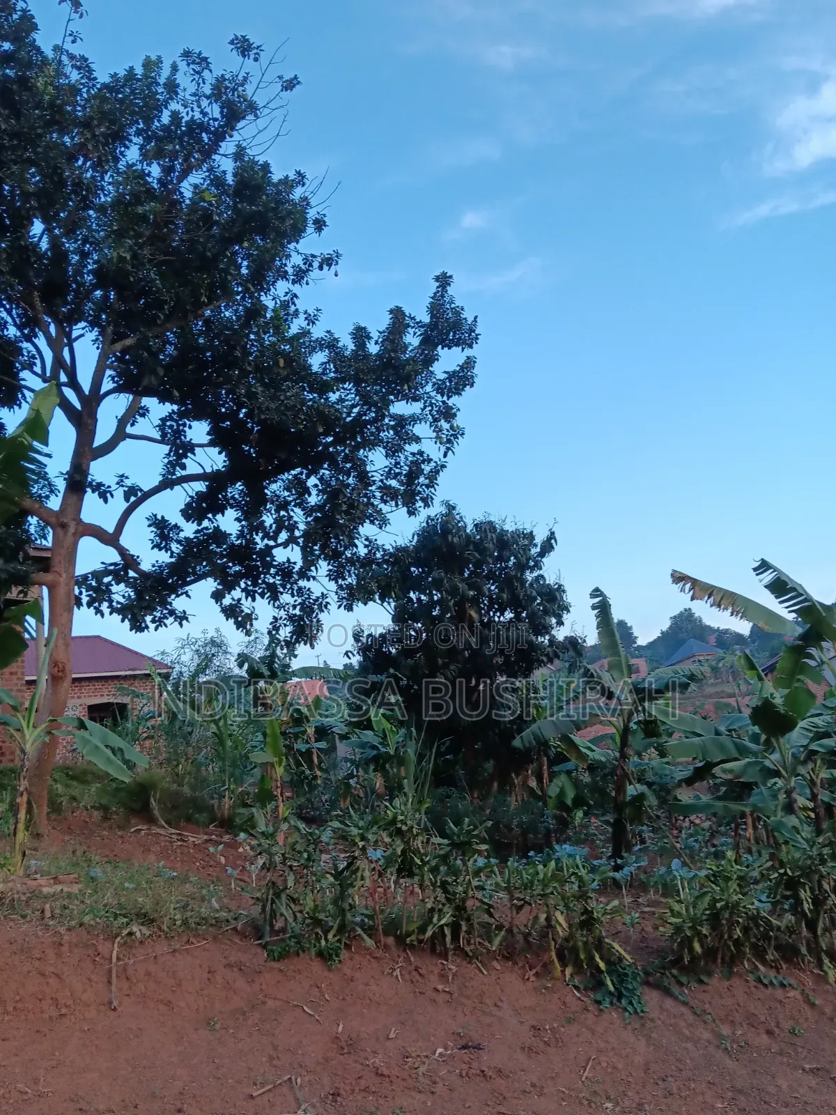 Plot for Sale in Wakiso / Wakiso